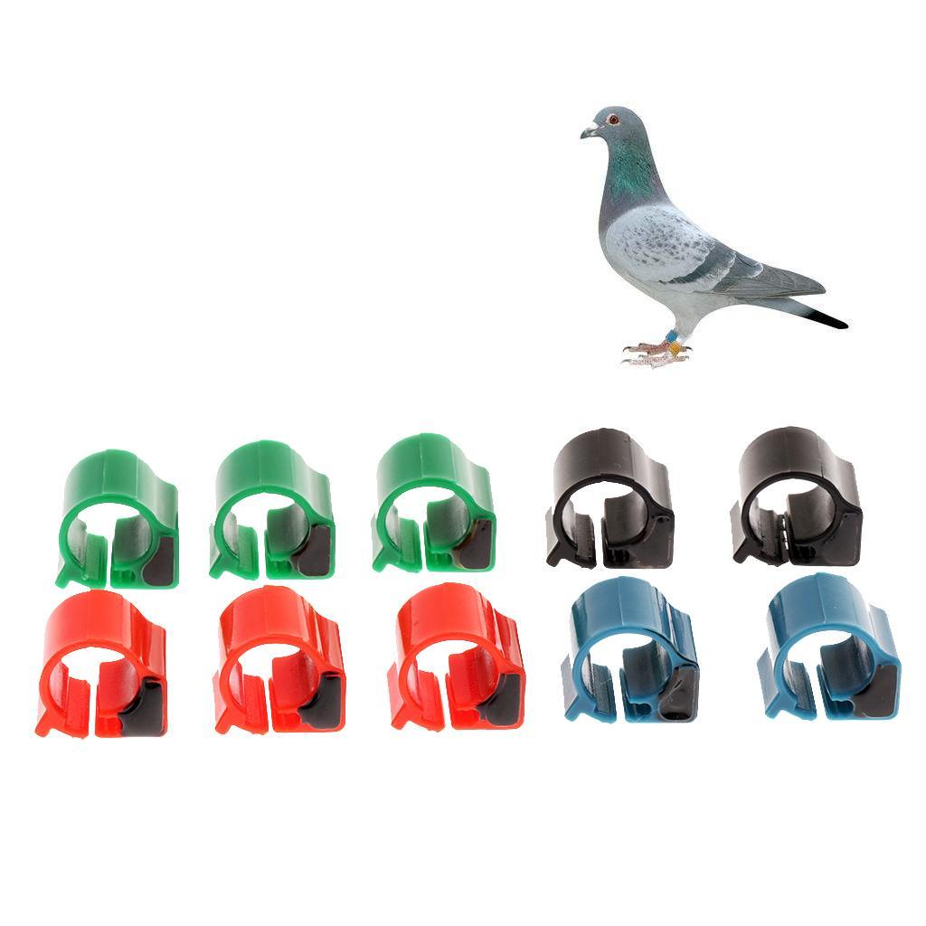 Maxbell 10x Pigeon Rings Bird Chip Rings Identification Race Pigeons Colorful Ring - Aladdin Shoppers
