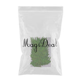Maxbell 12 Pieces 11-13cm Length Real Pressed Leaves Dried Flowers Embellishments for Card making Scrapbooking Art Crafts DIY Handmade Floral Decorations - Aladdin Shoppers