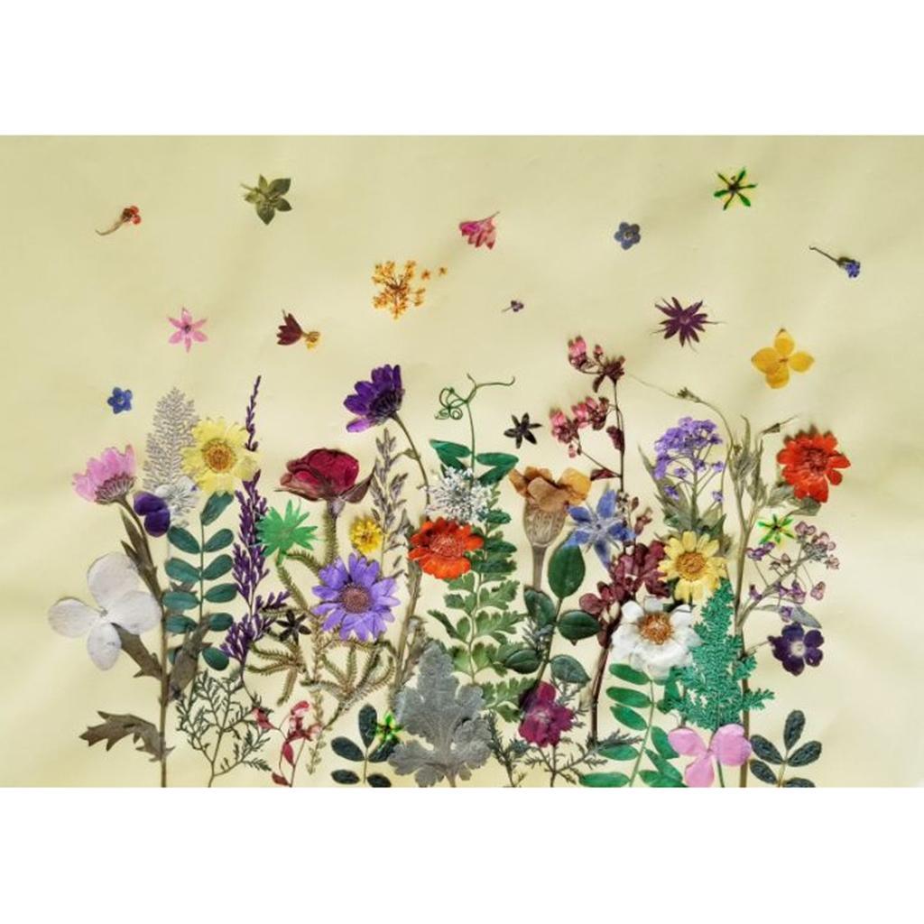 Maxbell 12 Pieces 11-13cm Length Real Pressed Leaves Dried Flowers Embellishments for Card making Scrapbooking Art Crafts DIY Handmade Floral Decorations - Aladdin Shoppers