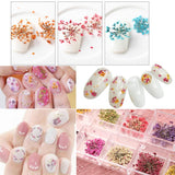 Maxbell 20 Pack Real Pressed Press Dried Flower Dancing-Doll Orchid Plant Specimen For DIY Nail Art Decor, Scrapbooking Card, Art Crafts, Resin Jewelry Making - Aladdin Shoppers