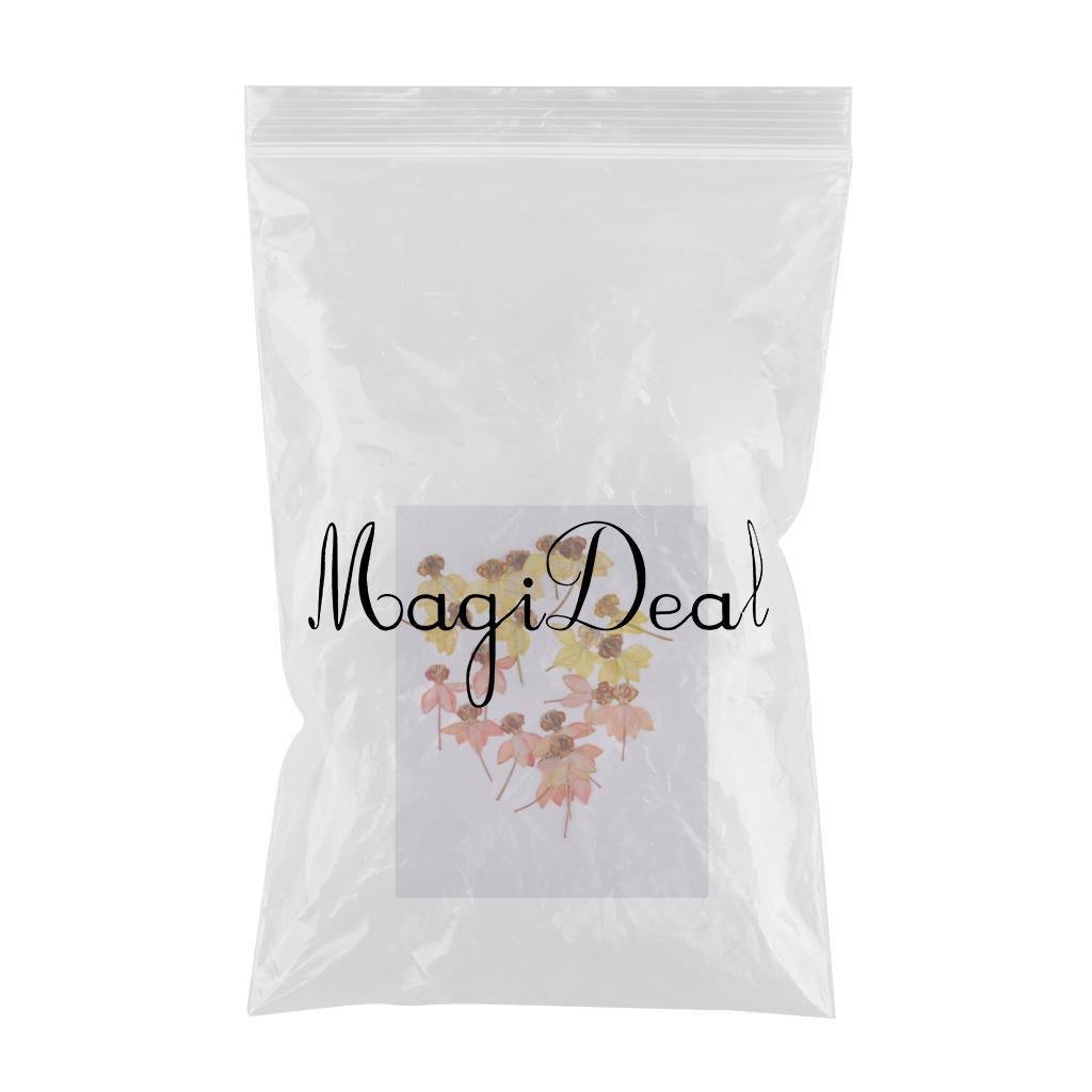 Maxbell 20 Pack Real Pressed Press Dried Flower Dancing-Doll Orchid Plant Specimen For DIY Nail Art Decor, Scrapbooking Card, Art Crafts, Resin Jewelry Making - Aladdin Shoppers