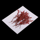 Maxbell 20 Piece Natural Dyed Red Limonium Real Pressed Dried Flowers for DIY Ornament Craft Candle Making Decoration 7-10cm - Aladdin Shoppers