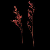 Maxbell 20 Piece Natural Dyed Red Limonium Real Pressed Dried Flowers for DIY Ornament Craft Candle Making Decoration 7-10cm - Aladdin Shoppers