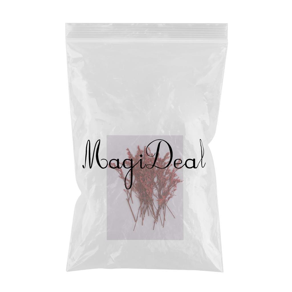 Maxbell 20 Piece Natural Dyed Red Limonium Real Pressed Dried Flowers for DIY Ornament Craft Candle Making Decoration 7-10cm - Aladdin Shoppers