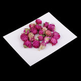 Maxbell 20 Pieces Dried Pressed Flowers Real Dry Gomphrena Globosa for Miniature Herbarium Craft DIY Scrapbooking Photo Album Decor and Card Making Crafts - Aladdin Shoppers