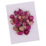 Maxbell 20 Pieces Dried Pressed Flowers Real Dry Gomphrena Globosa for Miniature Herbarium Craft DIY Scrapbooking Photo Album Decor and Card Making Crafts - Aladdin Shoppers
