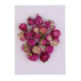 Maxbell 20 Pieces Dried Pressed Flowers Real Dry Gomphrena Globosa for Miniature Herbarium Craft DIY Scrapbooking Photo Album Decor and Card Making Crafts - Aladdin Shoppers
