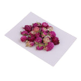 Maxbell 20 Pieces Dried Pressed Flowers Real Dry Gomphrena Globosa for Miniature Herbarium Craft DIY Scrapbooking Photo Album Decor and Card Making Crafts - Aladdin Shoppers