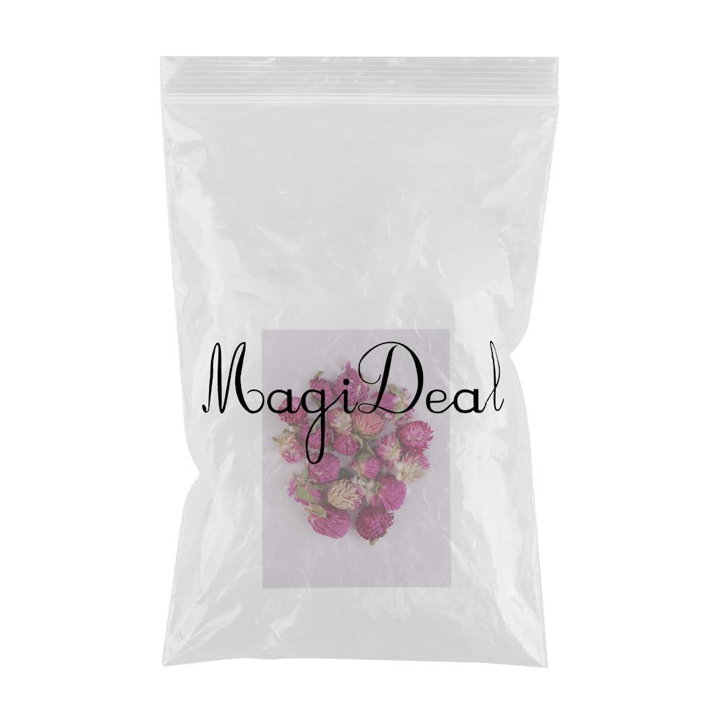 Maxbell 20 Pieces Dried Pressed Flowers Real Dry Gomphrena Globosa for Miniature Herbarium Craft DIY Scrapbooking Photo Album Decor and Card Making Crafts - Aladdin Shoppers