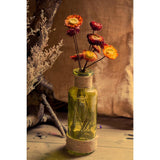 Maxbell 20g Dried Pressed Daisy Flower DIY Photo Frame Bookmark Specimen Home Decor - Aladdin Shoppers