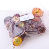 Maxbell 20g Dried Pressed Daisy Flower DIY Photo Frame Bookmark Specimen Home Decor - Aladdin Shoppers