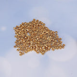 Maxbell 300pcs Doll Clothing Accessories DIY Doll Mini Metal Tiny Buttons Golden - Aladdin Shoppers