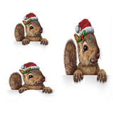 Maxbell 3pack Bathroom Set Rug Mat Toilet Lid Cover Non Slip Bathmats Squirrel - Aladdin Shoppers