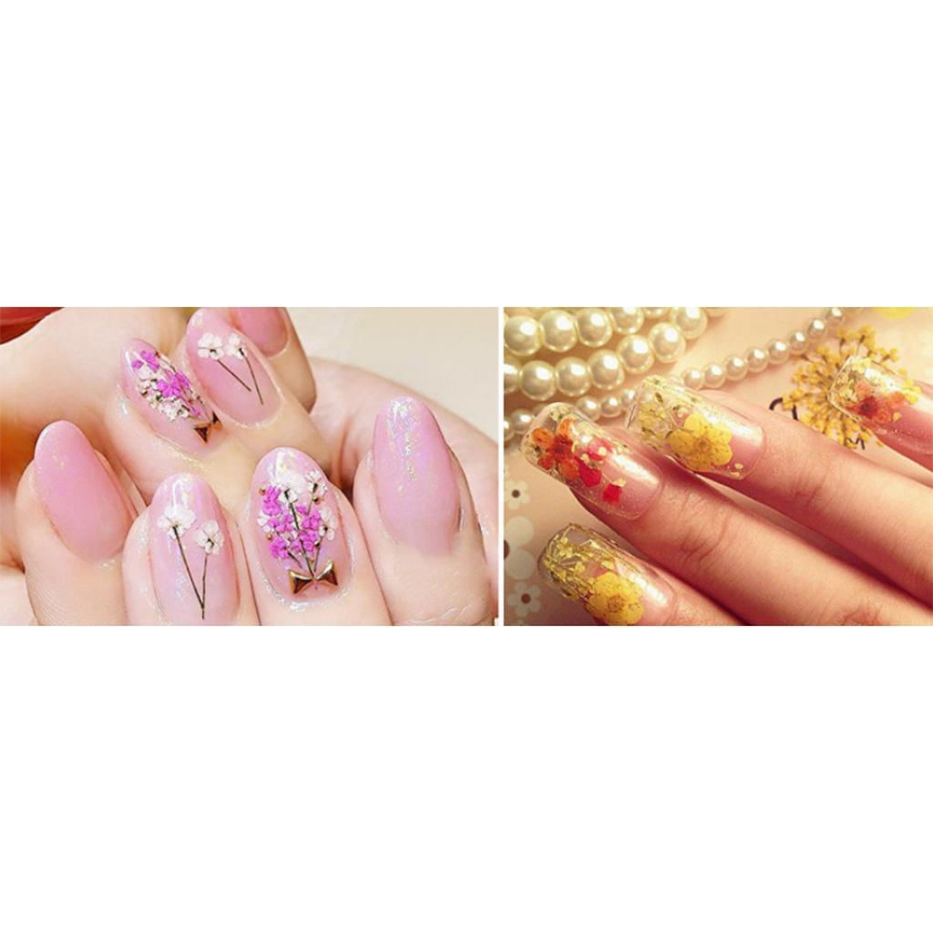 Maxbell 4g/Pack Natural Real Dried Flowers Lavender Jewelry Making Accessories for Candle Making DIY Resin Ornament Decoration 4-6mm - Aladdin Shoppers