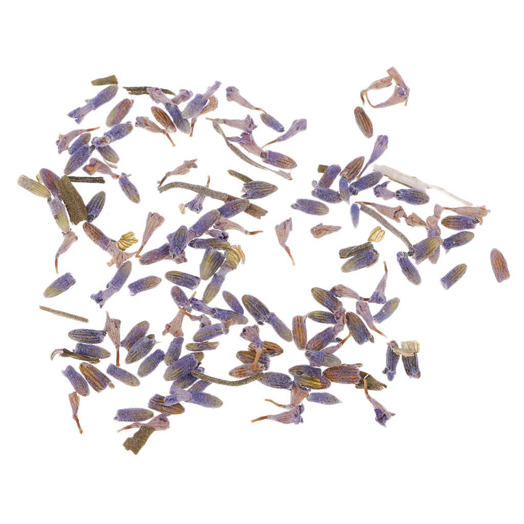 Maxbell 4g/Pack Natural Real Dried Flowers Lavender Jewelry Making Accessories for Candle Making DIY Resin Ornament Decoration 4-6mm - Aladdin Shoppers