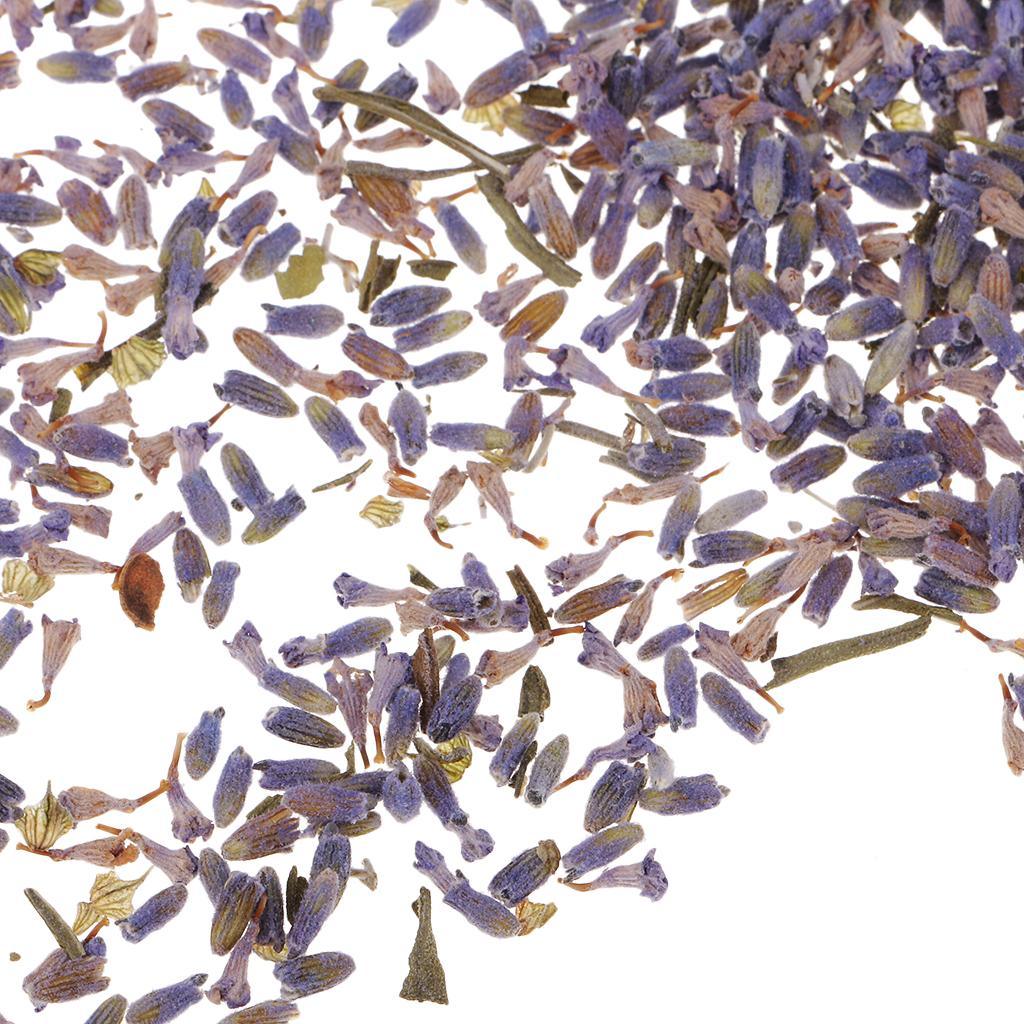 Maxbell 4g/Pack Natural Real Dried Flowers Lavender Jewelry Making Accessories for Candle Making DIY Resin Ornament Decoration 4-6mm - Aladdin Shoppers