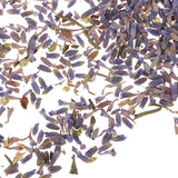 Maxbell 4g/Pack Natural Real Dried Flowers Lavender Jewelry Making Accessories for Candle Making DIY Resin Ornament Decoration 4-6mm - Aladdin Shoppers