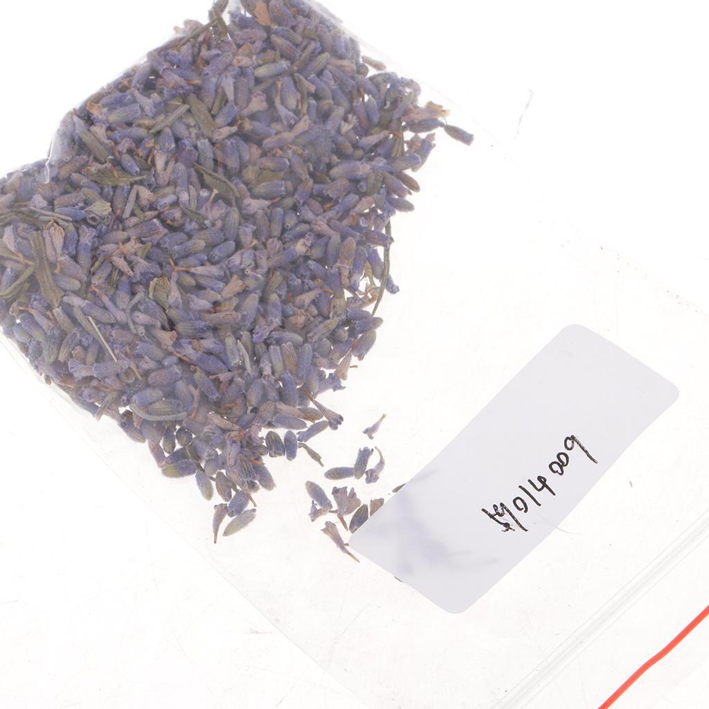 Maxbell 4g/Pack Natural Real Dried Flowers Lavender Jewelry Making Accessories for Candle Making DIY Resin Ornament Decoration 4-6mm - Aladdin Shoppers