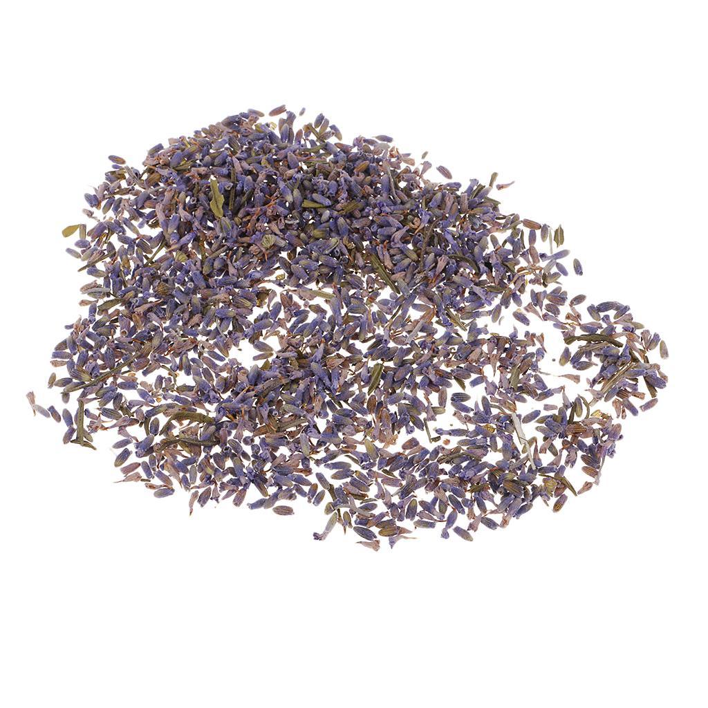 Maxbell 4g/Pack Natural Real Dried Flowers Lavender Jewelry Making Accessories for Candle Making DIY Resin Ornament Decoration 4-6mm - Aladdin Shoppers