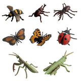 Maxbell 8Pcs Realistic Insect Bug Model Figures, Kids Nature Educational Toy Gift, Collectible - Aladdin Shoppers