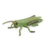 Maxbell 8Pcs Realistic Insect Bug Model Figures, Kids Nature Educational Toy Gift, Collectible - Aladdin Shoppers