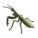 Maxbell 8Pcs Realistic Insect Bug Model Figures, Kids Nature Educational Toy Gift, Collectible - Aladdin Shoppers