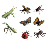 Maxbell 8Pcs Realistic Insect Bug Model Figures, Kids Nature Educational Toy Gift, Collectible - Aladdin Shoppers