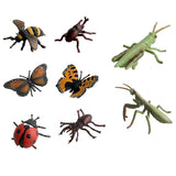 Maxbell 8Pcs Realistic Insect Bug Model Figures, Kids Nature Educational Toy Gift, Collectible - Aladdin Shoppers