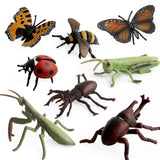 Maxbell 8Pcs Realistic Insect Bug Model Figures, Kids Nature Educational Toy Gift, Collectible - Aladdin Shoppers