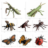 Maxbell 8Pcs Realistic Insect Bug Model Figures, Kids Nature Educational Toy Gift, Collectible - Aladdin Shoppers