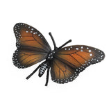 Maxbell 8Pcs Realistic Insect Bug Model Figures, Kids Nature Educational Toy Gift, Collectible - Aladdin Shoppers