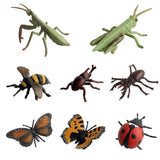 Maxbell 8Pcs Realistic Insect Bug Model Figures, Kids Nature Educational Toy Gift, Collectible - Aladdin Shoppers
