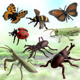 Maxbell 8Pcs Realistic Insect Bug Model Figures, Kids Nature Educational Toy Gift, Collectible - Aladdin Shoppers