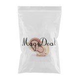 Maxbell 9th Month Fetus/Foetus Embryo Pregnancy Models Human Fetal Development Model Lab Supplies Educative - Aladdin Shoppers