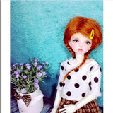 Maxbell Backdrop Background Cloth For BJD Doll MSD DK DD Photography Props 60x120cm - Aladdin Shoppers