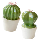 Maxbell Ceramic Succulent Cactus Figurine Home Cabinet Table Cabinet Decoration A - Aladdin Shoppers