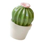 Maxbell Ceramic Succulent Cactus Figurine Home Cabinet Table Cabinet Decoration A - Aladdin Shoppers