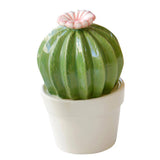 Maxbell Ceramic Succulent Cactus Figurine Home Cabinet Table Cabinet Decoration A - Aladdin Shoppers