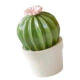 Maxbell Ceramic Succulent Cactus Figurine Home Cabinet Table Cabinet Decoration A - Aladdin Shoppers