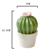 Maxbell Ceramic Succulent Cactus Figurine Home Cabinet Table Cabinet Decoration A - Aladdin Shoppers