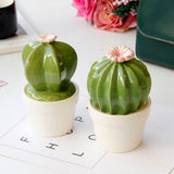 Maxbell Ceramic Succulent Cactus Figurine Home Cabinet Table Cabinet Decoration A - Aladdin Shoppers