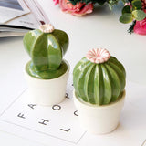Maxbell Ceramic Succulent Cactus Figurine Home Cabinet Table Cabinet Decoration A - Aladdin Shoppers