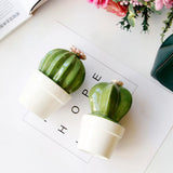 Maxbell Ceramic Succulent Cactus Figurine Home Cabinet Table Cabinet Decoration A - Aladdin Shoppers