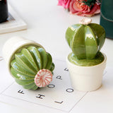 Maxbell Ceramic Succulent Cactus Figurine Home Cabinet Table Cabinet Decoration A - Aladdin Shoppers