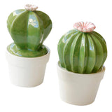 Maxbell Ceramic Succulent Cactus Figurine Home Cabinet Table Cabinet Decoration A - Aladdin Shoppers