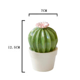 Maxbell Ceramic Succulent Cactus Figurine Home Cabinet Table Cabinet Decoration A - Aladdin Shoppers