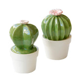 Maxbell Ceramic Succulent Cactus Figurine Home Cabinet Table Cabinet Decoration A - Aladdin Shoppers
