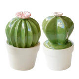 Maxbell Ceramic Succulent Cactus Figurine Home Cabinet Table Cabinet Decoration A - Aladdin Shoppers