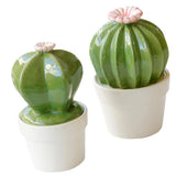Maxbell Ceramic Succulent Cactus Figurine Home Cabinet Table Cabinet Decoration A - Aladdin Shoppers