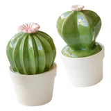 Maxbell Ceramic Succulent Cactus Figurine Home Cabinet Table Cabinet Decoration A - Aladdin Shoppers